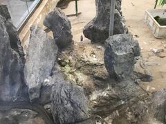 -荔城生鲜盛宴(番禺旗舰店)