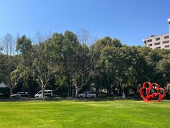 -上海交通大学医学院附属瑞金医院(总院)