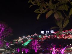 -枇杷园食为鲜火锅(南山店)