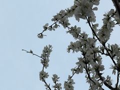 -南开大学(津南校区)