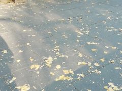 -張飛牛肉(锦里店)