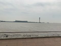 -吴淞炮台湾湿地森林公园烧烤区
