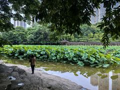 -龙头寺公园