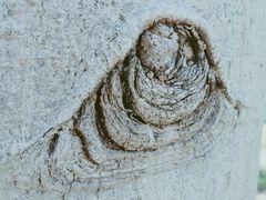 -深圳市人才园(深南大道店)