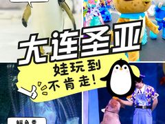 -大连圣亚海洋世界