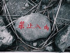 -上海吴淞炮台湾国家湿地公园