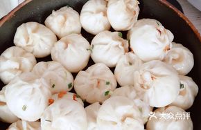 Pan-Fried Dumpling Buns