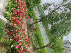 -北龙湖湿地公园