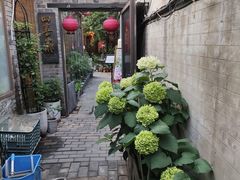 -四喜小胖·北京涮肉(五道营店)