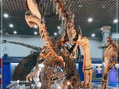 -国家自然博物馆