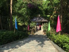 -天赐温泉
