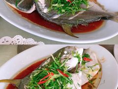 清蒸金昌鱼-乡味海鲜农家菜·巽寮土窑鸡(地道美食店)
