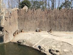 -上海野生动物园