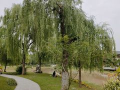 -堤角公园
