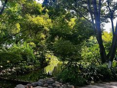 -成都市活水公园