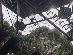 -魔都矩阵