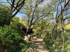 -宁波市保国寺古建筑博物馆