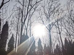 -合肥三国新城遗址公园