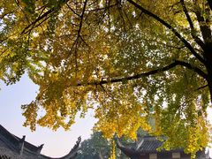 -成都市文殊院
