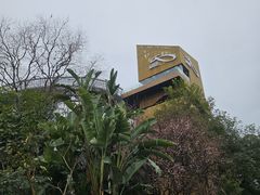 -福道