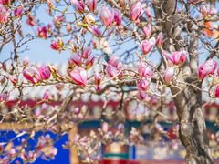 -西安市广仁寺