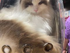 -老南京土菜馆(状元境店)