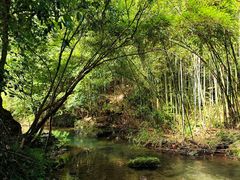 -夏霖九天银瀑风景区