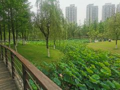 -沐仙湖湿地公园
