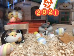 -肯德基(诸城市柏斯奇店)
