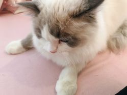 -Beauty Nails 美甲美睫皮肤管理