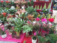 -秦美花卉(天朗·莱茵小城2期店)