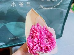 -小苍兰风铃草蛋糕甜品(沈阳店)