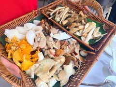-原林野山菌火锅·炒菌(关上野生菌一条街店)