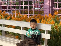 -广东花都香草世界旅游度假区