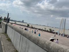 -上海滨江森林公园