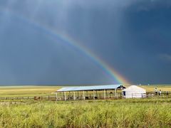-呼伦贝尔大草原巴尔虎蒙古部落民俗旅游度假景区
