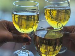 -靓海海鲜火锅(水上湖边观景店)