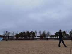 -春花秋色城市公园