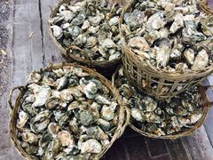 -有间冰室(侨港风情街店)