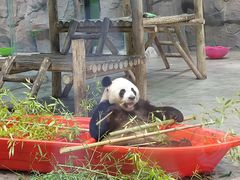 -栾川竹海野生动物园