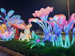 -淄博花灯齐彩城