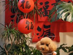 -小意思咖啡店(草桥店)