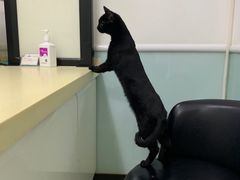 -全心全意连锁动物医院(加州店)