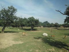 景点-西安秦岭野生动物园