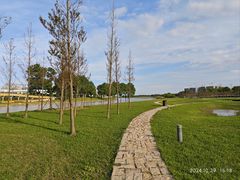 -春花秋色城市公园