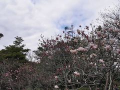 -广州市白云山风景名胜区