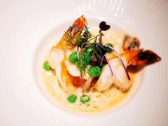 -蝶舍·MAISON PAPILLON