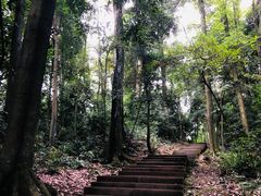 -凤栖山