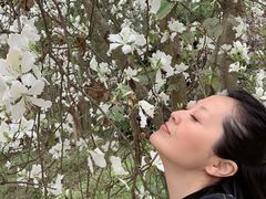 -广州白江湖森林公园