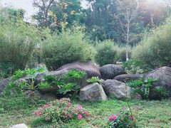 -火炉山森林公园